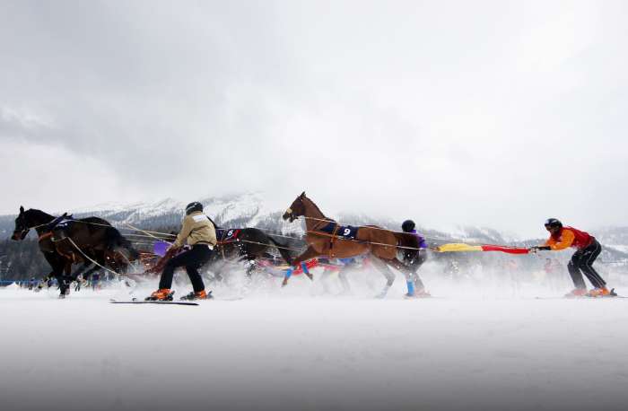 Skijoring in St. Moritz