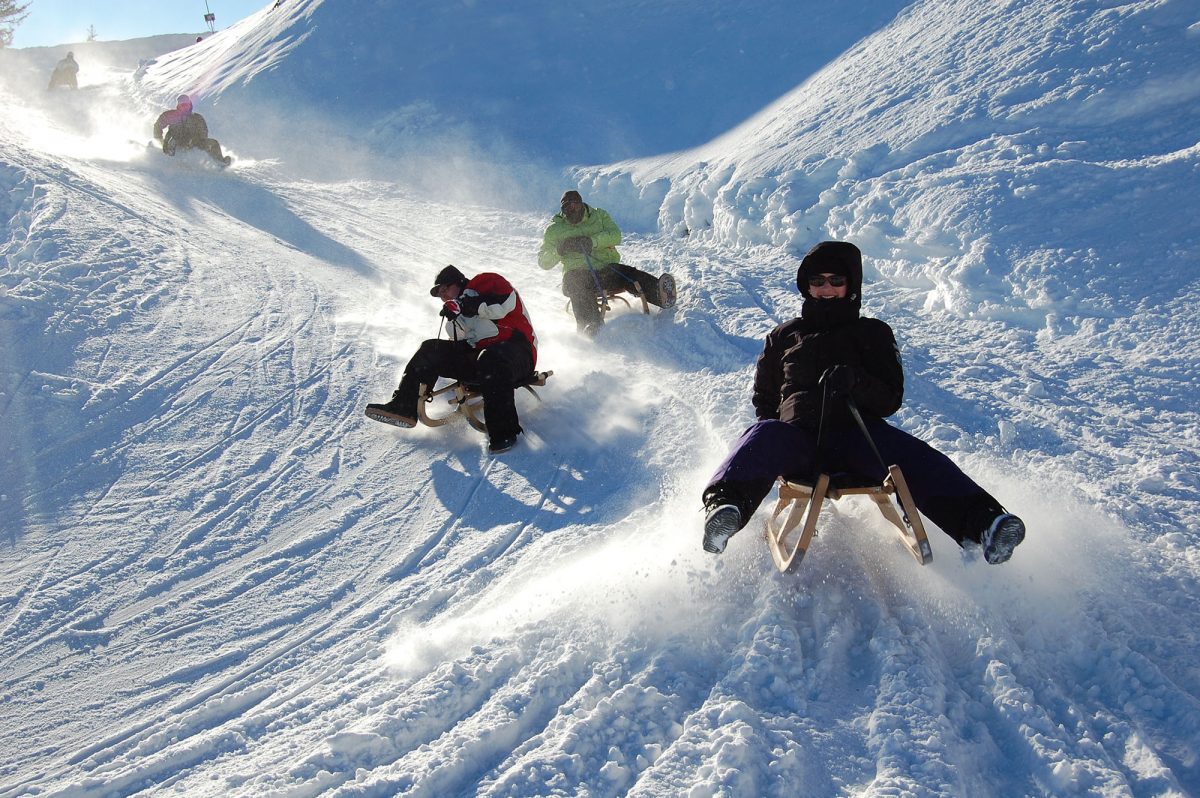 Sledging in the Alps