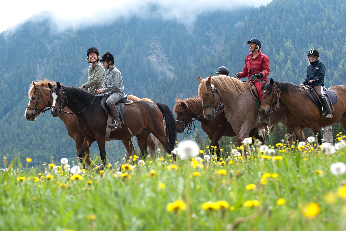 Horse trek in the Swiss Alps