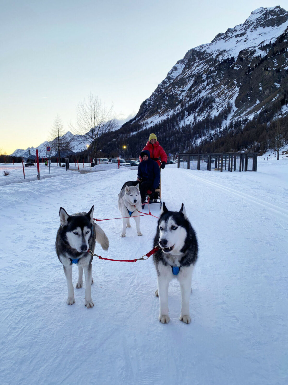 Couple on a sled pulled by three huskies