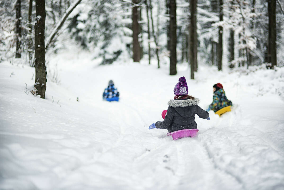 Children sledging in a snow-covered forest