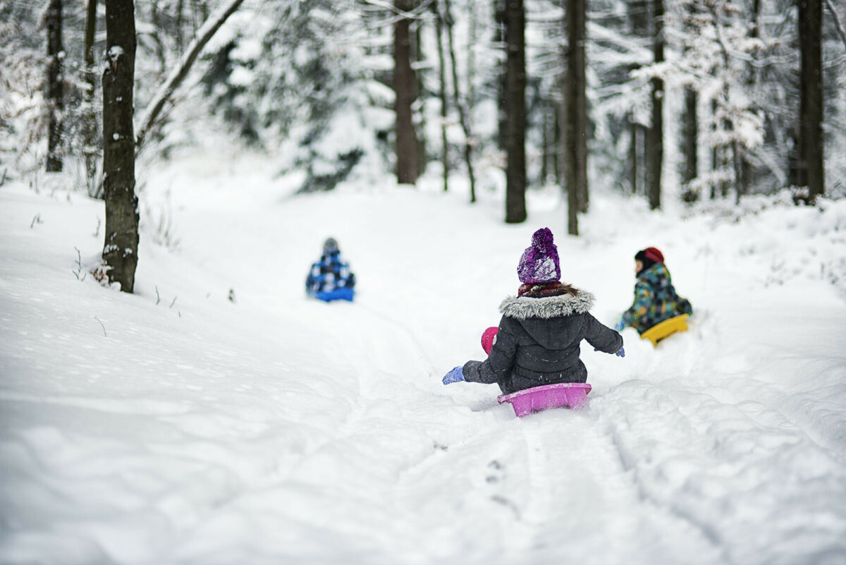 Kinder beim Schlitteln in einem verschneiten Wald