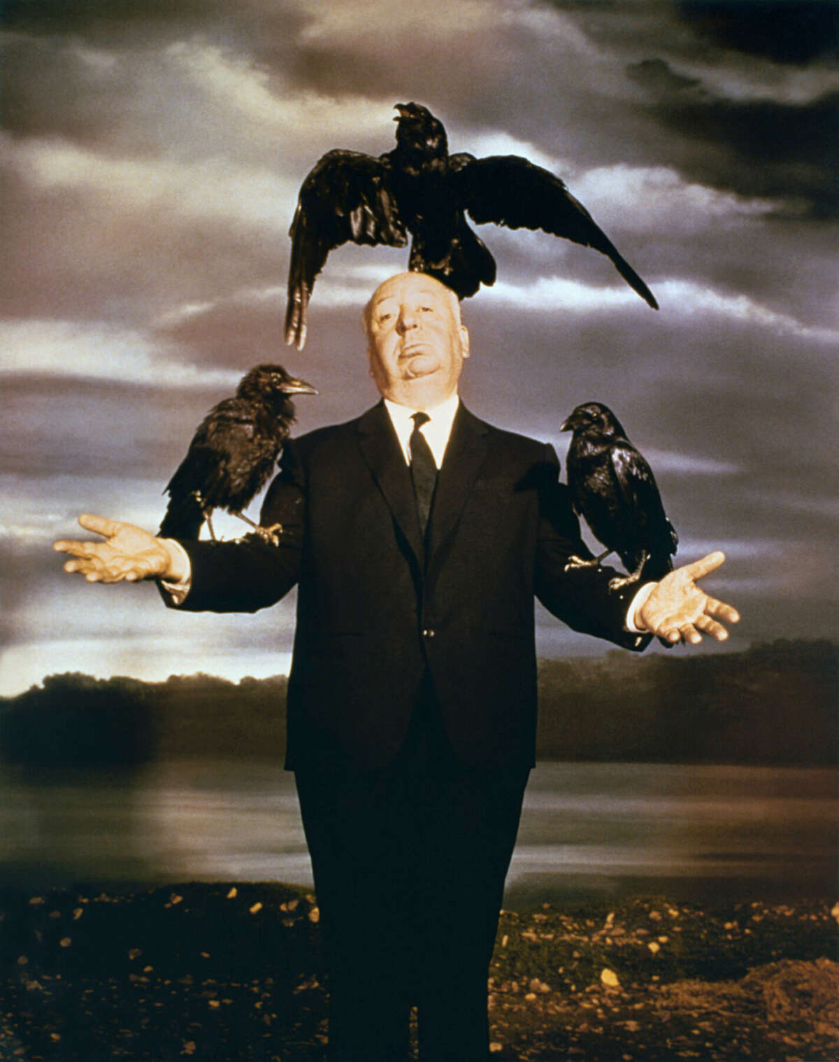 Man in suit with a bird on his head and two on his arms