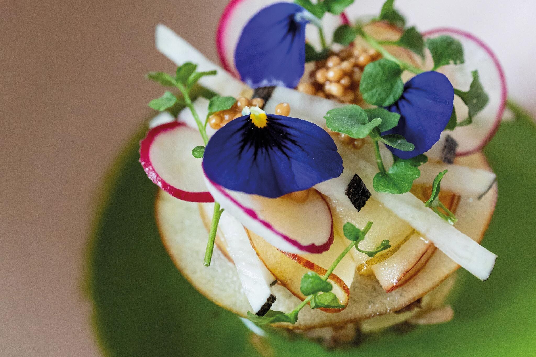 Freshly prepared dish with apple, radishes and flower petals