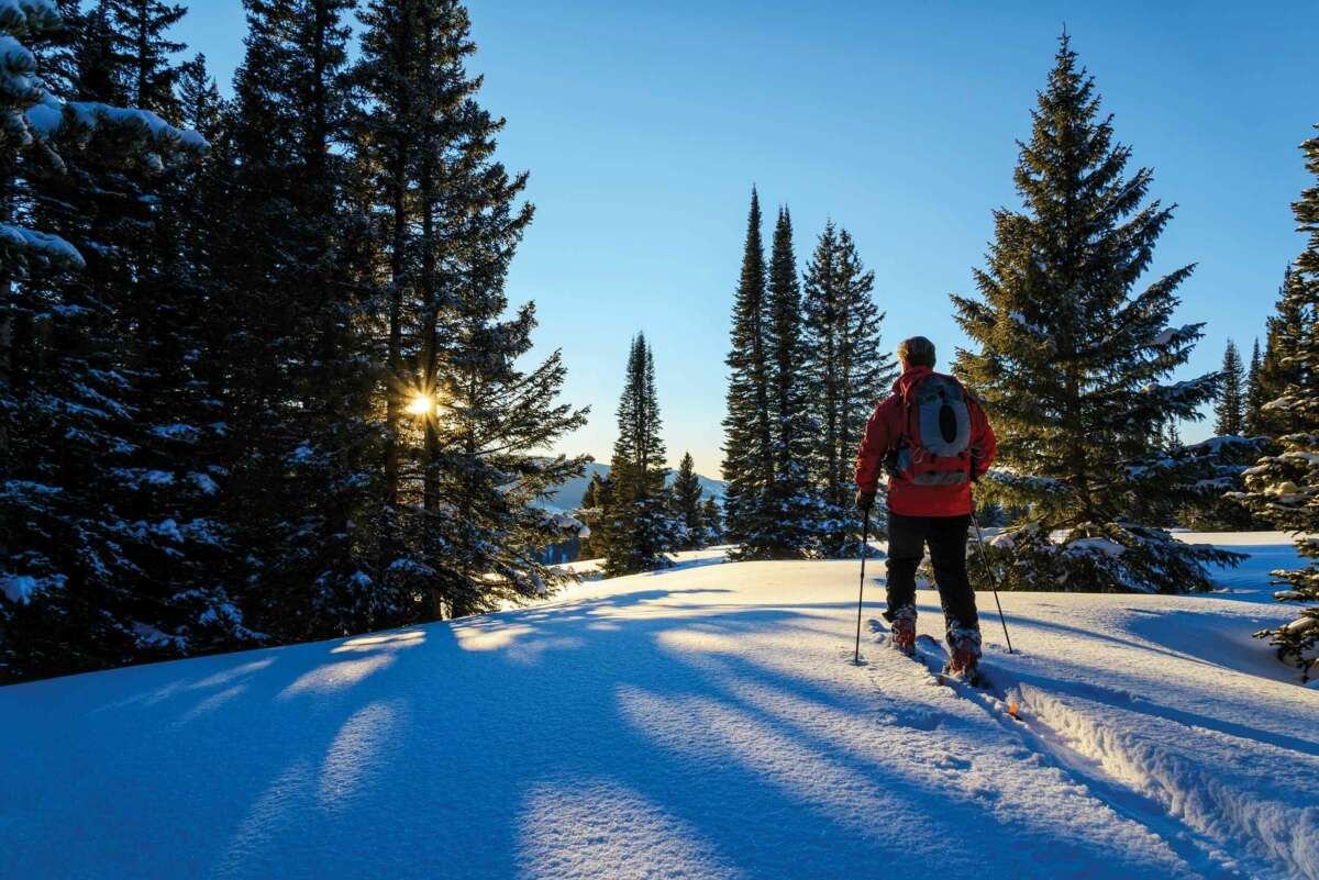 Ein Skitourengeher in einem Wald in den Bergen